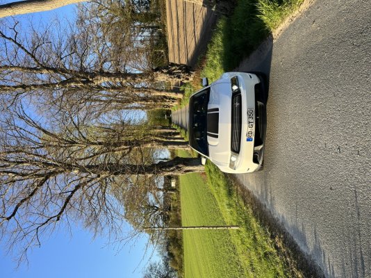 IMG_5109.jpeg IMG_5109.jpeg