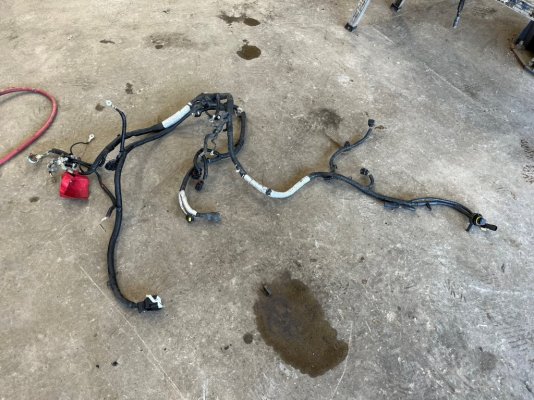 Mustang wiring.jpg