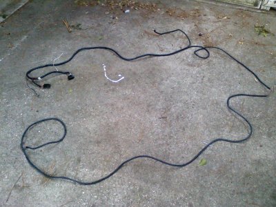 GT500 Harness -entire harness.jpg