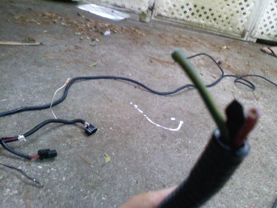 GT500 Harness - Cut end, two wire.jpg