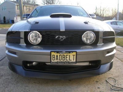 new plate 006.jpg