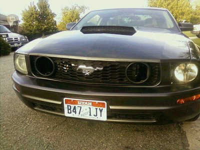 07stang11.jpg