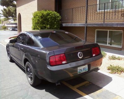 07stang3.jpg