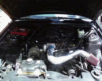07stang4.jpg
