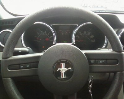 07stang5.jpg