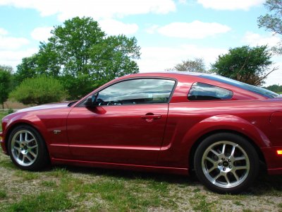 05 Mustang 017.jpg