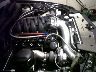 IMG00135-20100607-2106.jpg