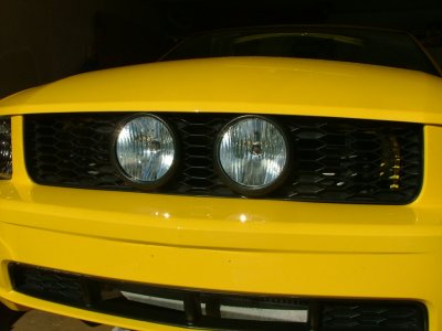 DSCF4101.jpg