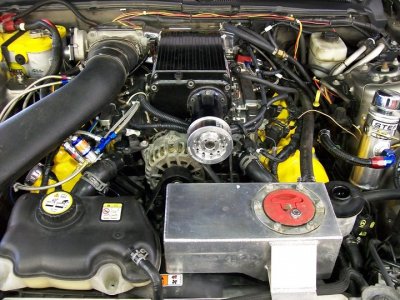 saleen1.jpg