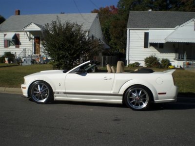 brads stang 001.jpg