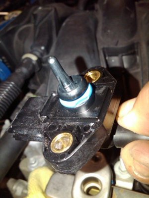 IMG00327-20100709-1911.jpg