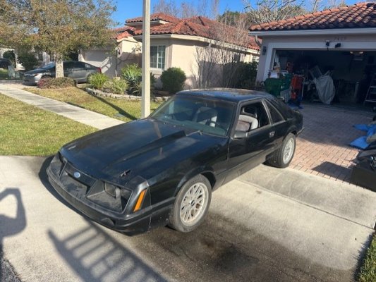 89 MUSTANG.jpg