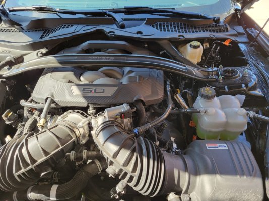 oi catch can before.jpg