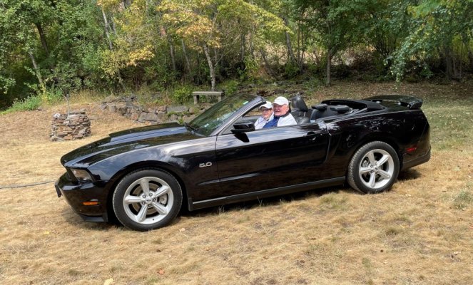 Mustang-yard 2023-cropped.jpg Mustang-yard 2023-cropped.jpg