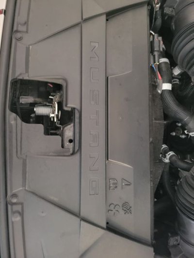 before.jpg