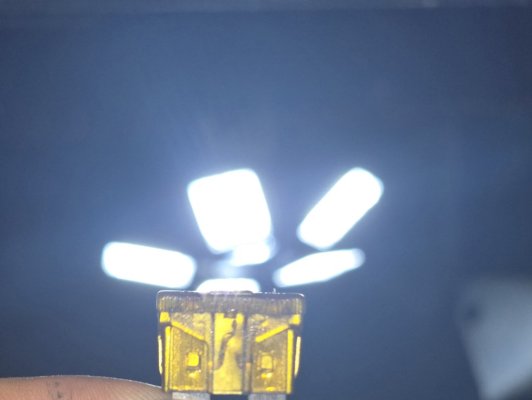20241101_194414.jpg