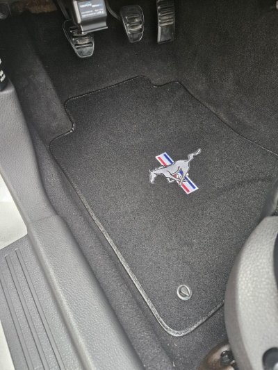 Floormats.jpeg
