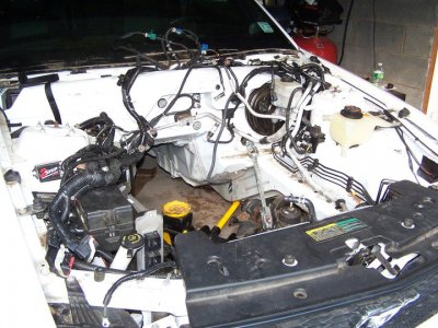 38200_549733163645_47400833_32173085_7657890_n.jpg