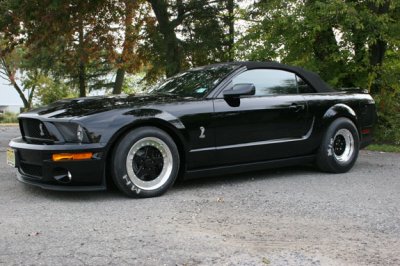 gt500 bogarts.jpg