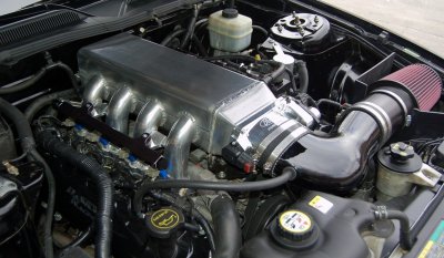 DSC_5977.JPG