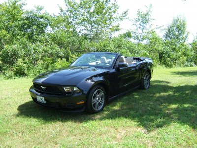 Mustang pics 07 2010 001.jpg