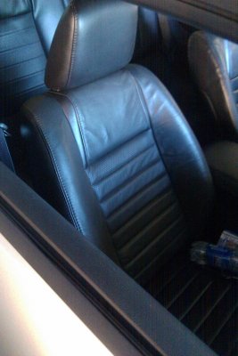 seats1.jpg
