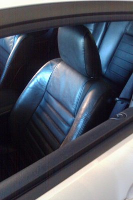seats2.jpg