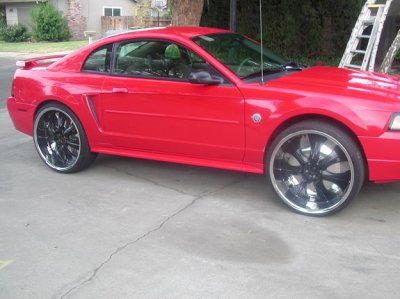 WTF wheels.jpg