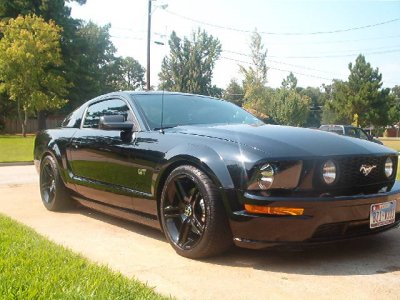 06 gt pics 007.JPG