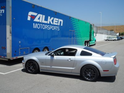 Side profile.jpg