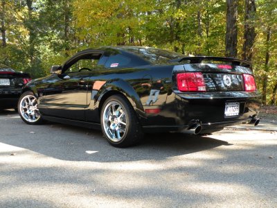 Mustang.jpg