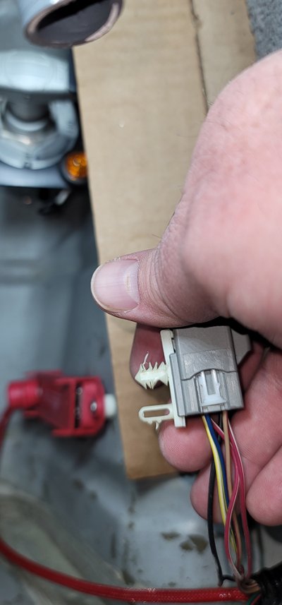 20250422_164235_passengerside_taillight_body.jpg
