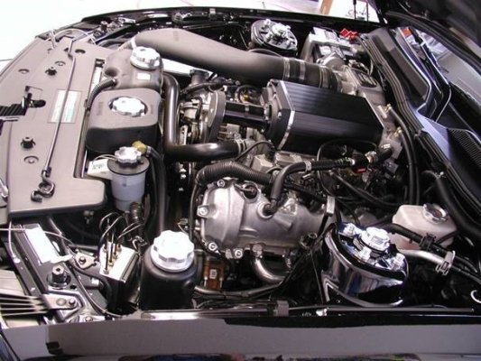 Pic 8.jpg