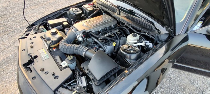 IMG_20250815_194257464_HDR.jpg