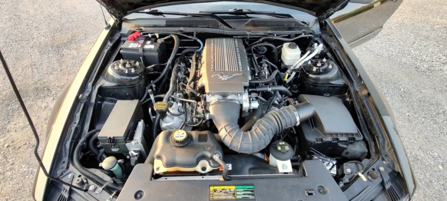 IMG_20250815_194304657_HDR.jpg