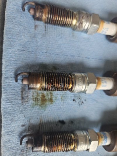 1000012824_lil oily.jpg