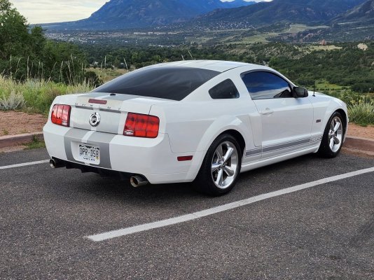 Mustang 1.jpg