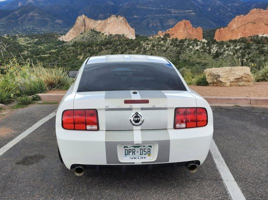 Mustang 5.jpg