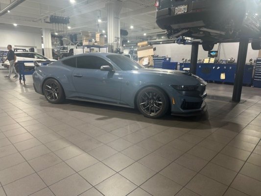 DARKHORSE WHIPPLE BUILD.jpg