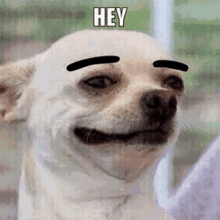 0075-me.gif