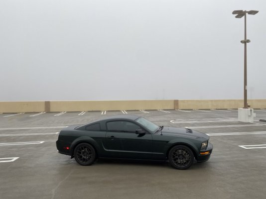 IMG_0378.jpeg