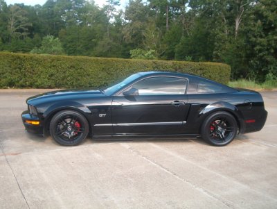 06 gt 006.JPG