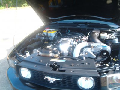 06 gt 015.JPG