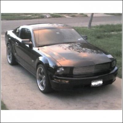shelby1.jpg