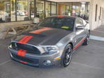 cobra3.jpg