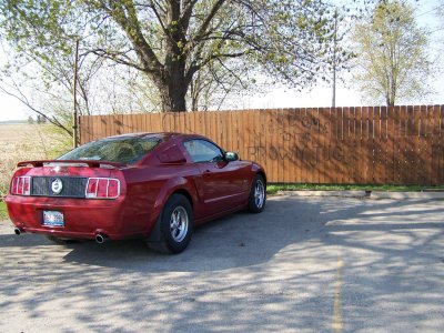 MY GT AT BROWN JUG.jpg