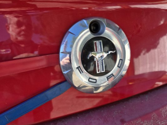 trunk badge on car.jpg trunk badge on car.jpg