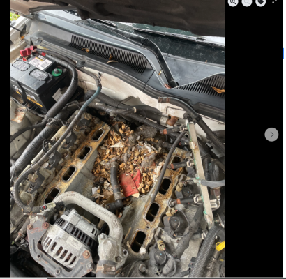 Screenshot (240).png