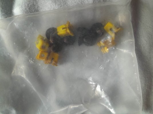 seals1.jpg