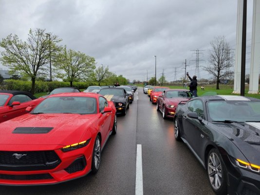 lined up for parade.jpg